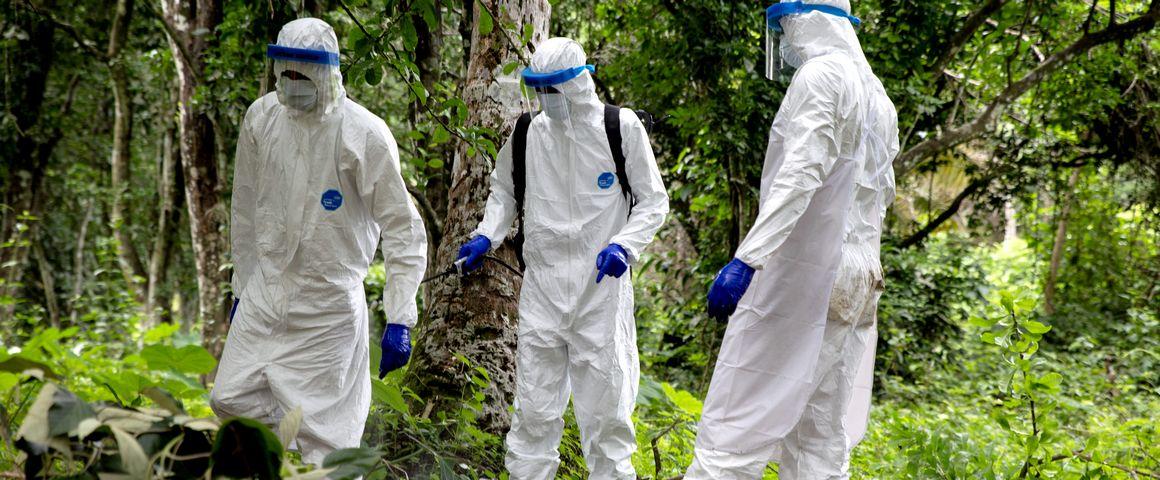 © AdobeStock, B. B. Massieu